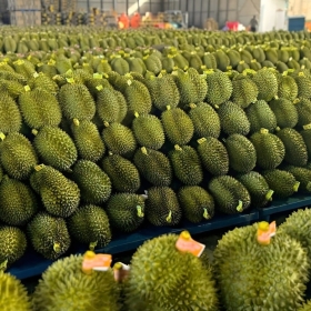 HẢI QUAN YÊU CẦU THÔNG QUAN NGAY NÔNG SẢN, ƯU TIÊN SẦU RIÊNG, NGHIÊM CẤM GÂY KHÓ DOANH NGHIỆP