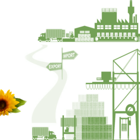 THỦ TỤC NHẬP KHẨU DẦU THỰC VẬT