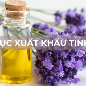 THỦ TỤC XUẤT KHẨU TINH DẦU